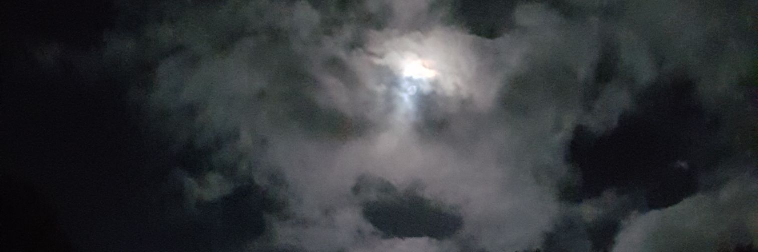 madgec1's profile banner image