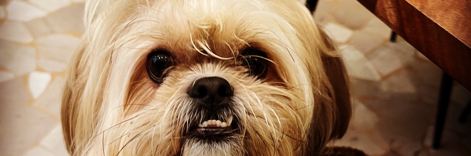 LordmaxBO's profile banner image