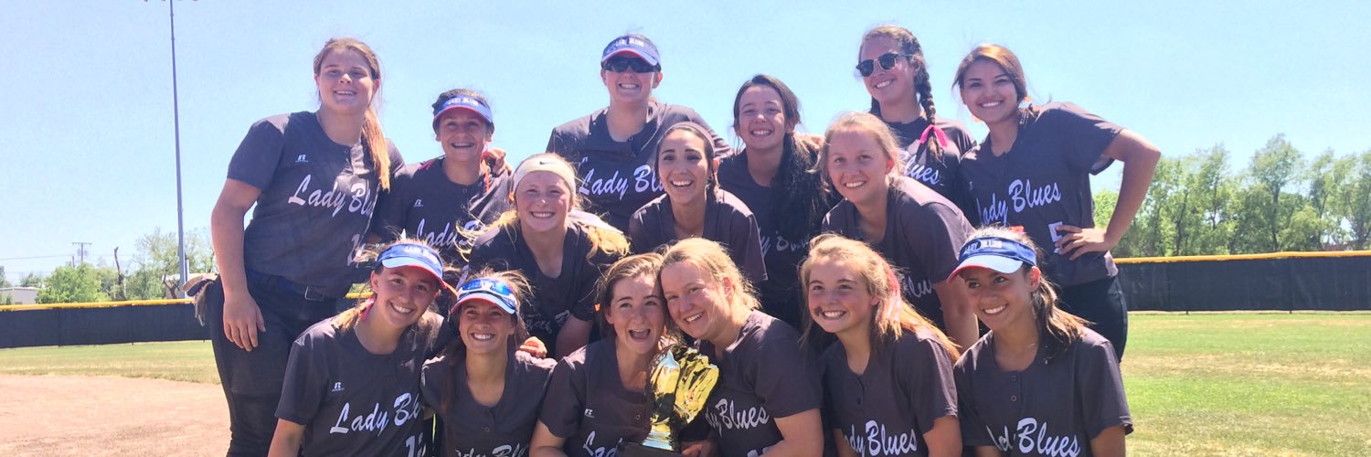 ladybluessb's profile banner image