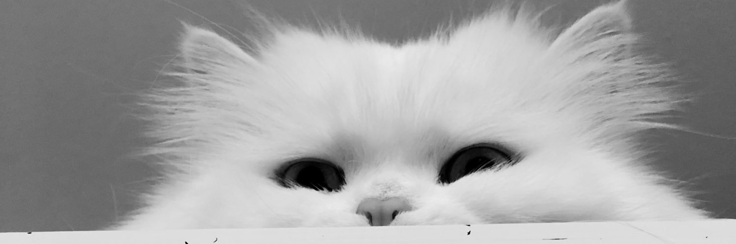 Irisantoss's profile banner image