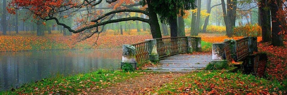 Elsa Correa ن banner