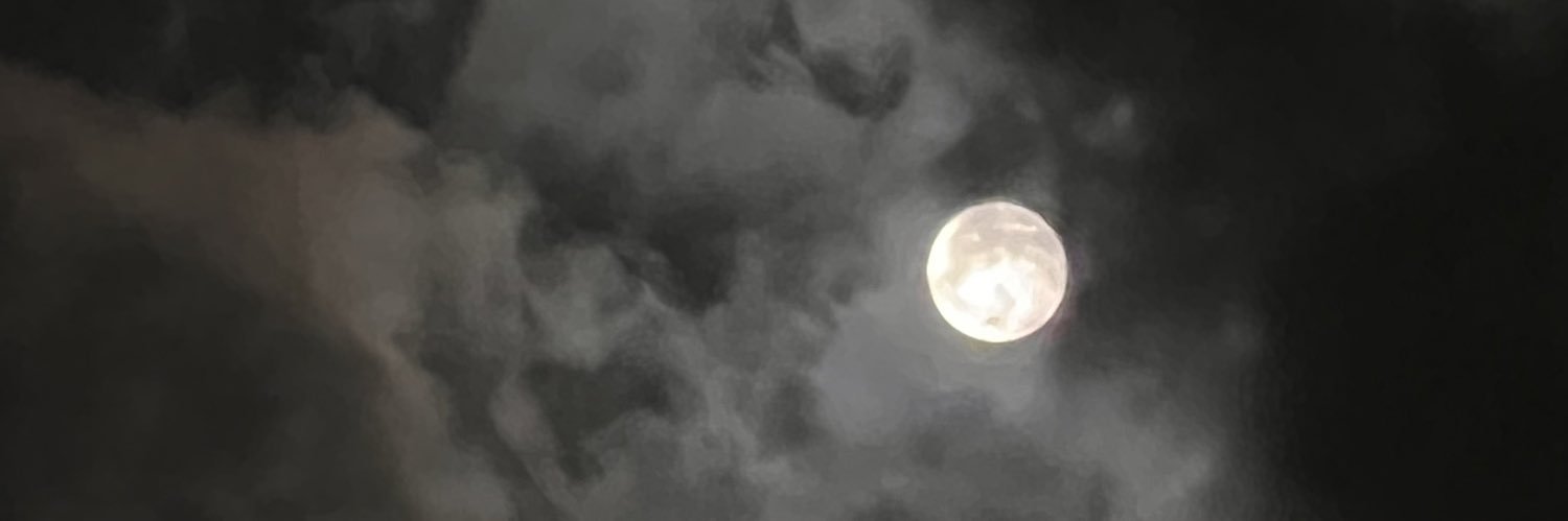 hannah_p99's profile banner image
