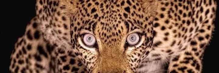 princehdb's profile banner image