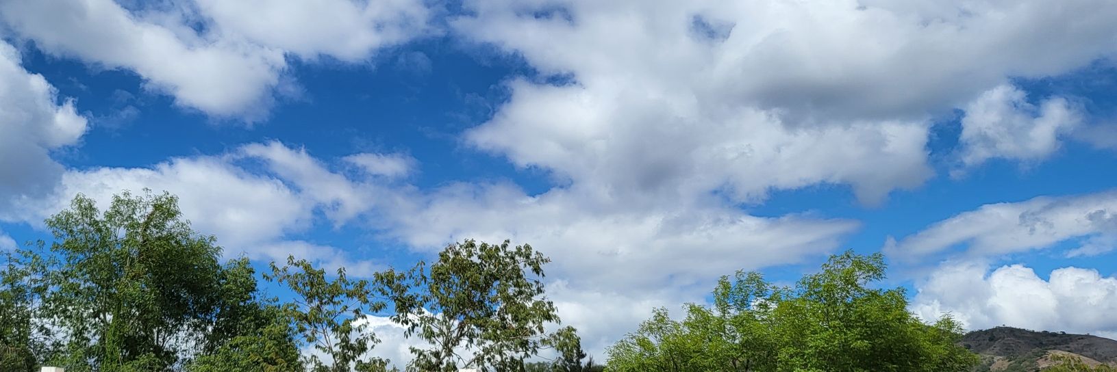 lledesmac_'s profile banner image