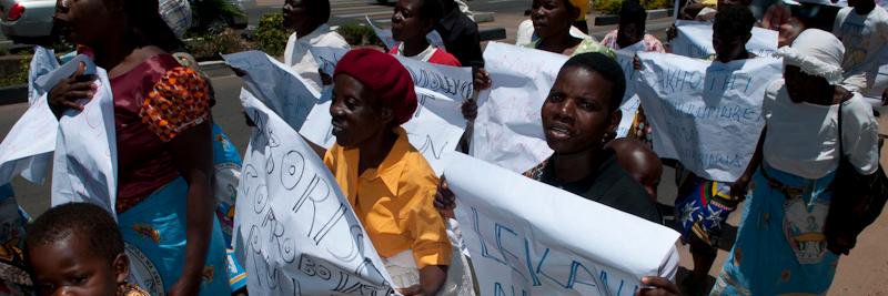 The Equality Effect banner