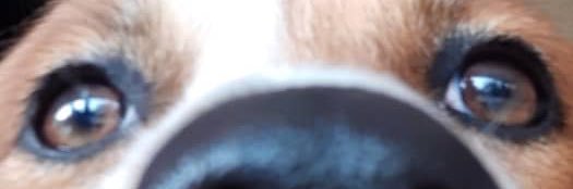 jayhandave's profile banner image