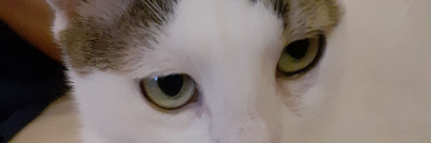 yucelpearl's profile banner image