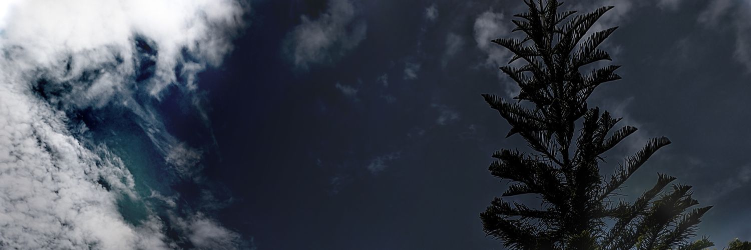 TongAnts's profile banner image