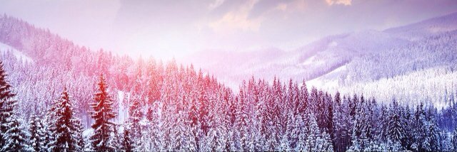 AloeFloral_'s profile banner image