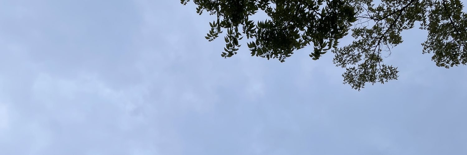_bang_e's profile banner image