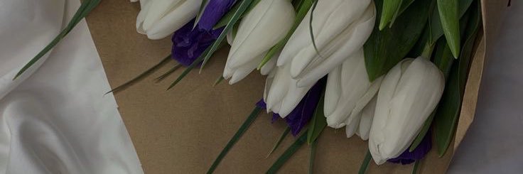 sultanah133's profile banner image