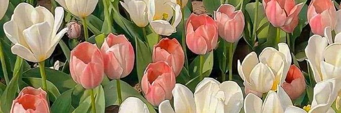 บุ๋งบุ๋งของบูบู้ banner