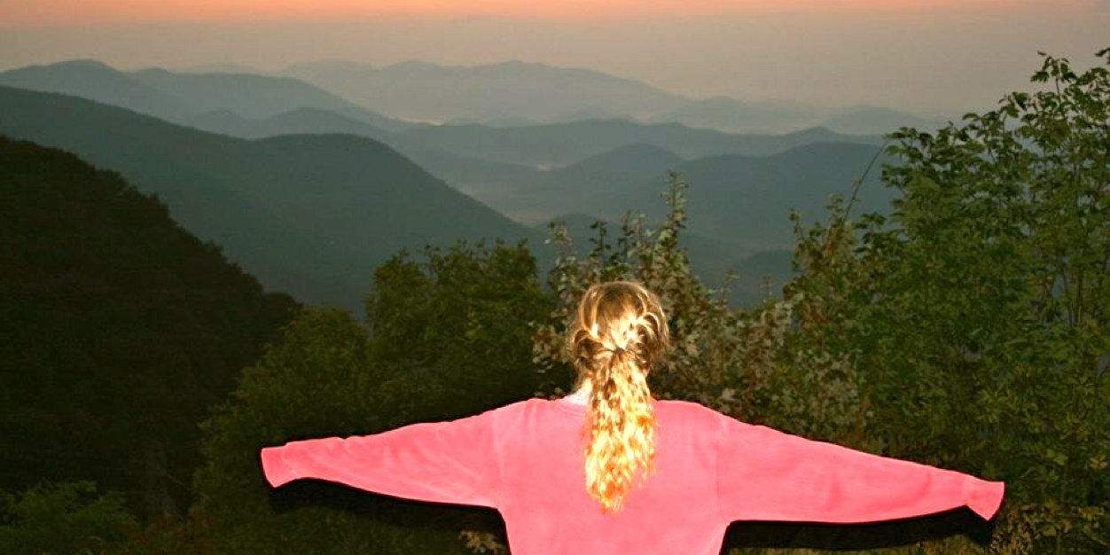 Emily Carpenter banner