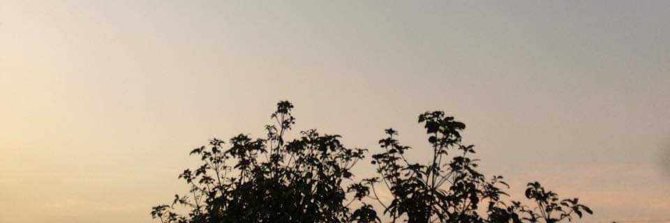 SSomsri21's profile banner image