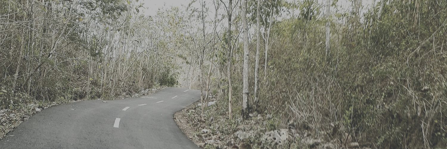 ratihdwi_'s profile banner image