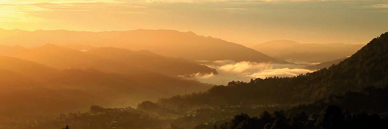 María Sojob banner