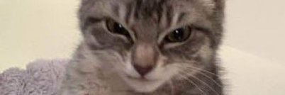 Yes now the Mill banner