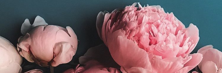 naomiwalker5's profile banner image
