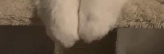 miilabee's profile banner image