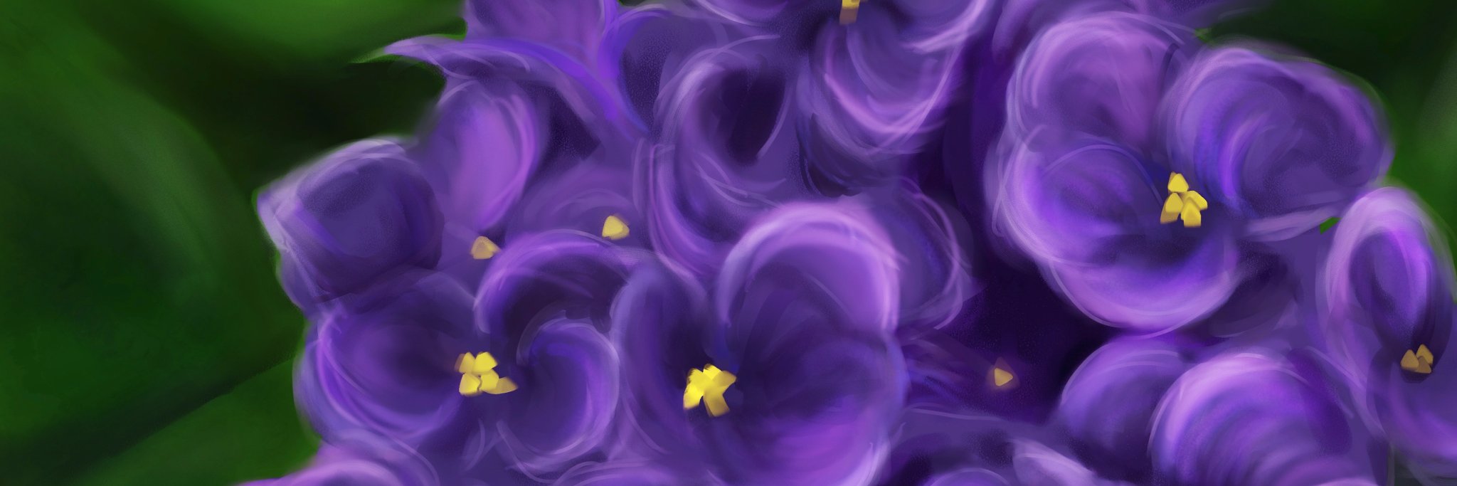 CSSTRICKLAND's profile banner image