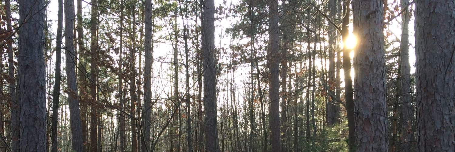 LswDust's profile banner image