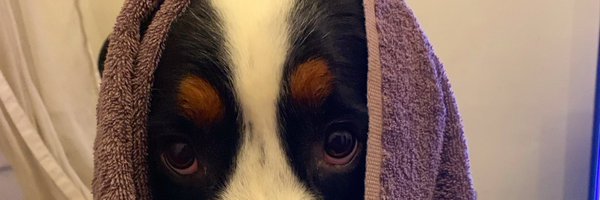 Deniztar Profile Banner