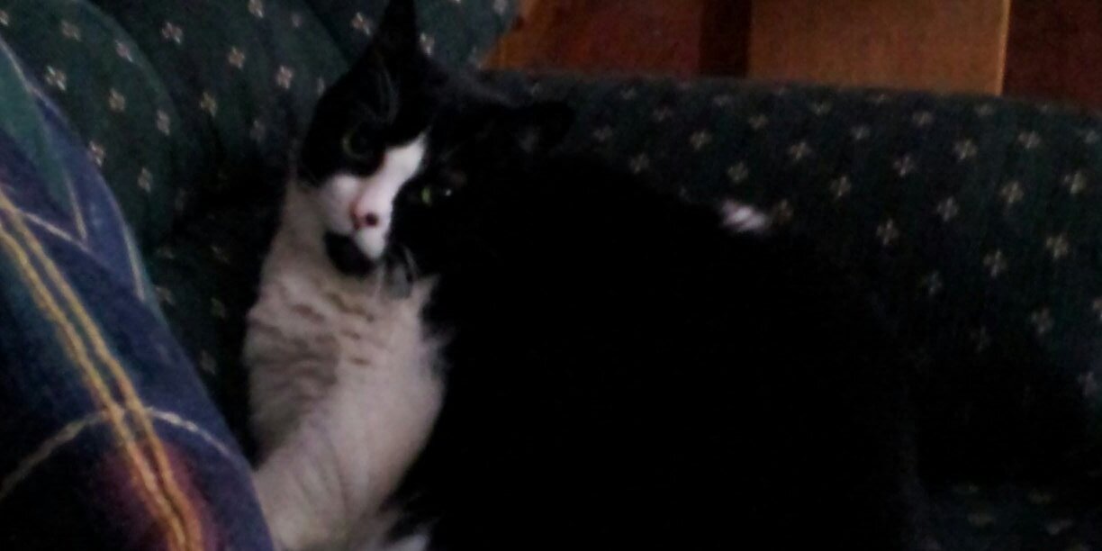 attlassishere's profile banner image