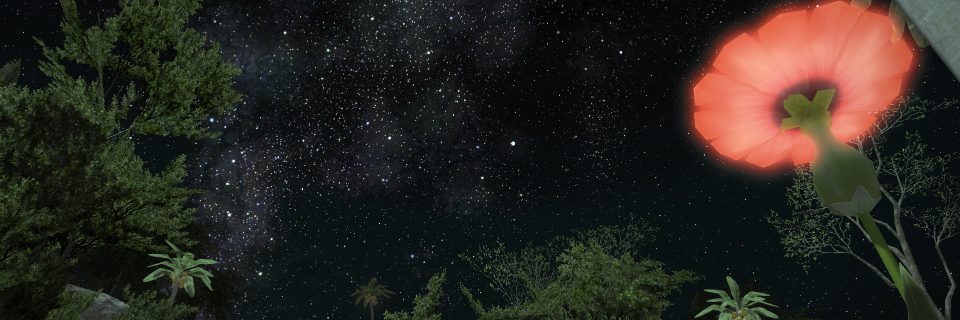 Vivi W. banner