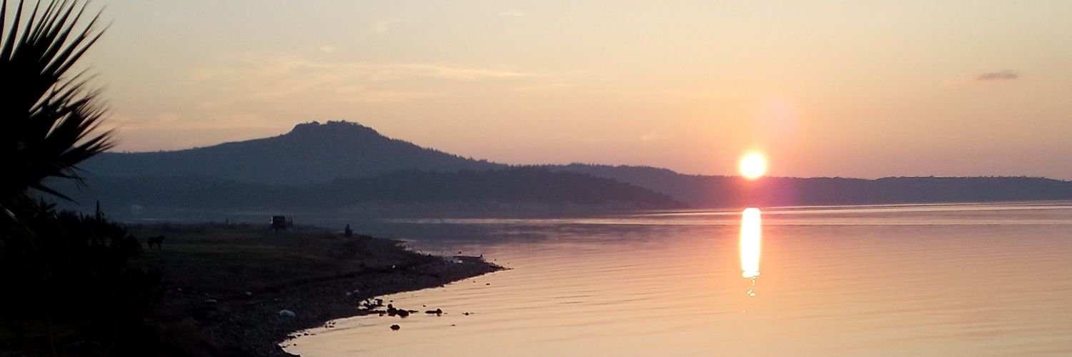 TaylanSadann's profile banner image