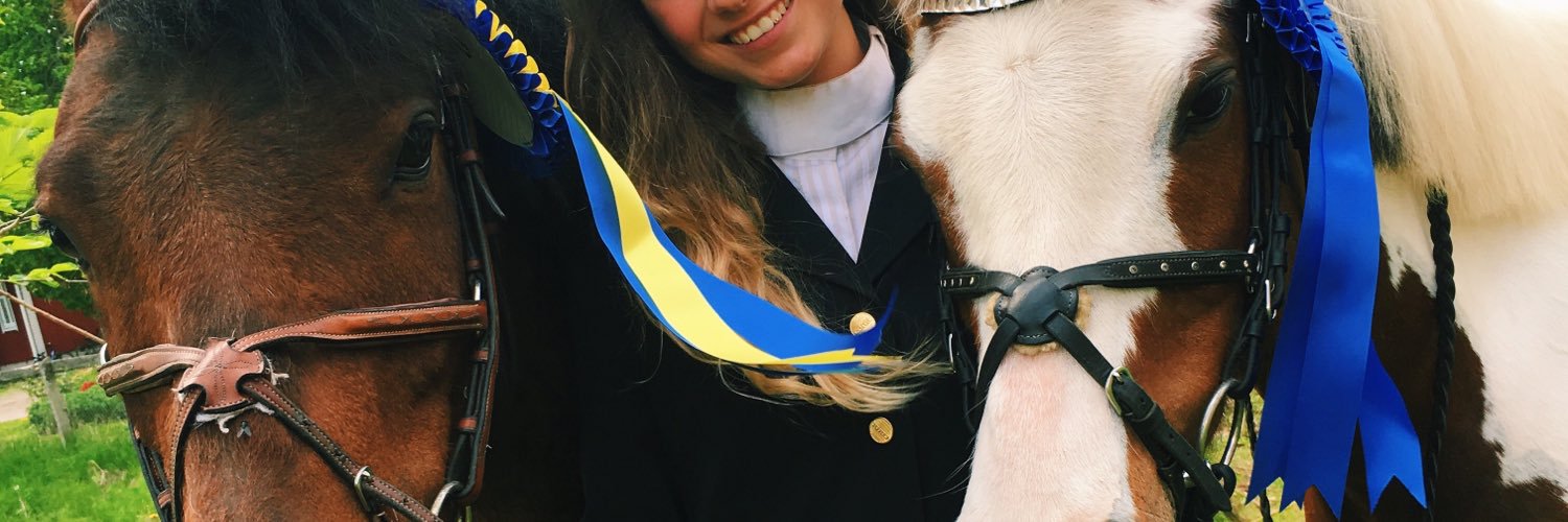 casshallgren's profile banner image