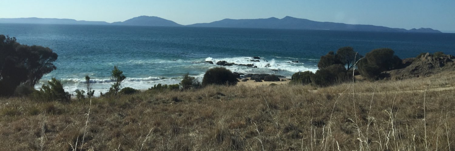 Jackie Koelmeyer banner