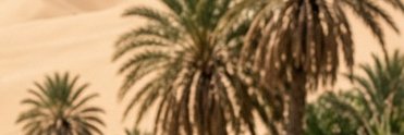 OfficialJorge's profile banner image