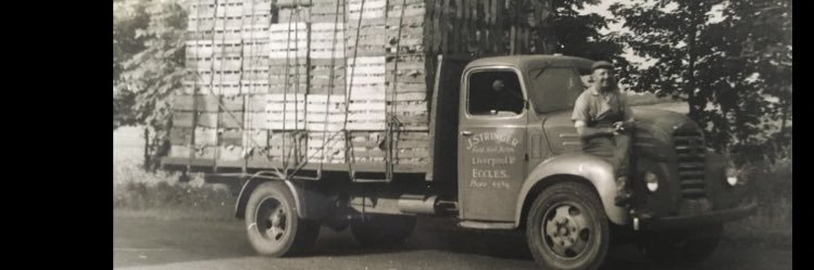 Steven Stringer banner