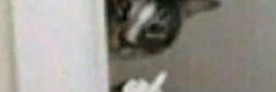 so you have chosen...death. banner