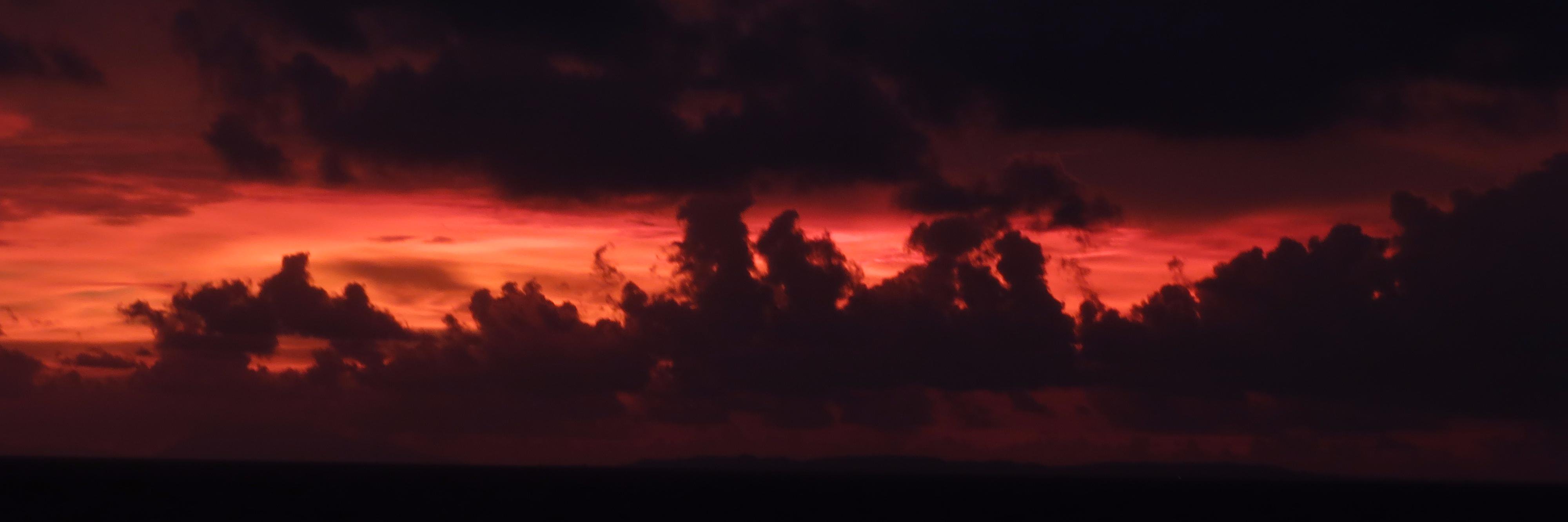 Socorro Rodrigo banner