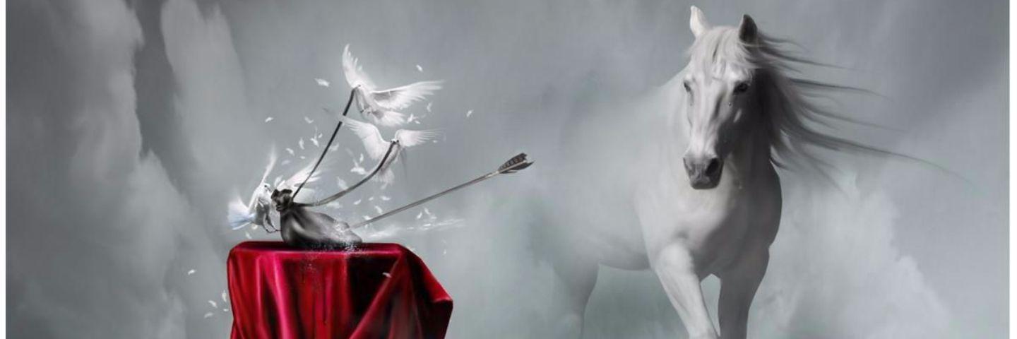 donotwrite's profile banner image