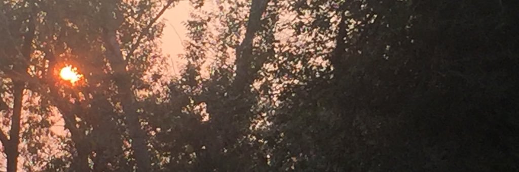 Icecream64's profile banner image