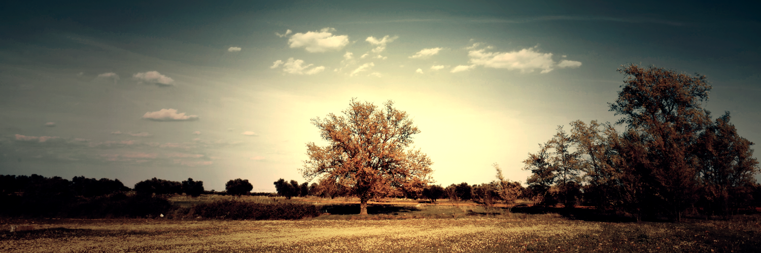 0x3175306d's profile banner image
