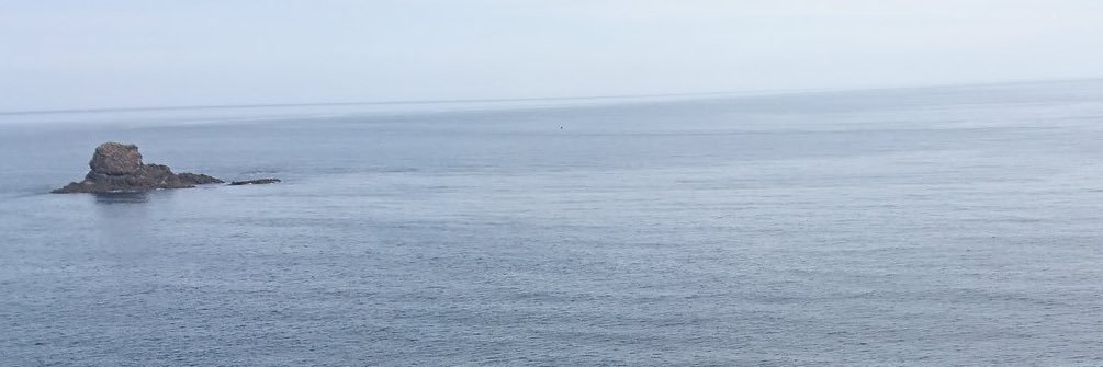 krndyk's profile banner image
