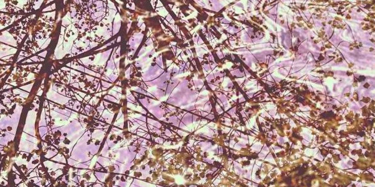 Magggiieee's profile banner image
