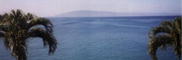 dmanderscheid Profile Banner