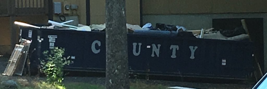 BeRealNickNaro's profile banner image