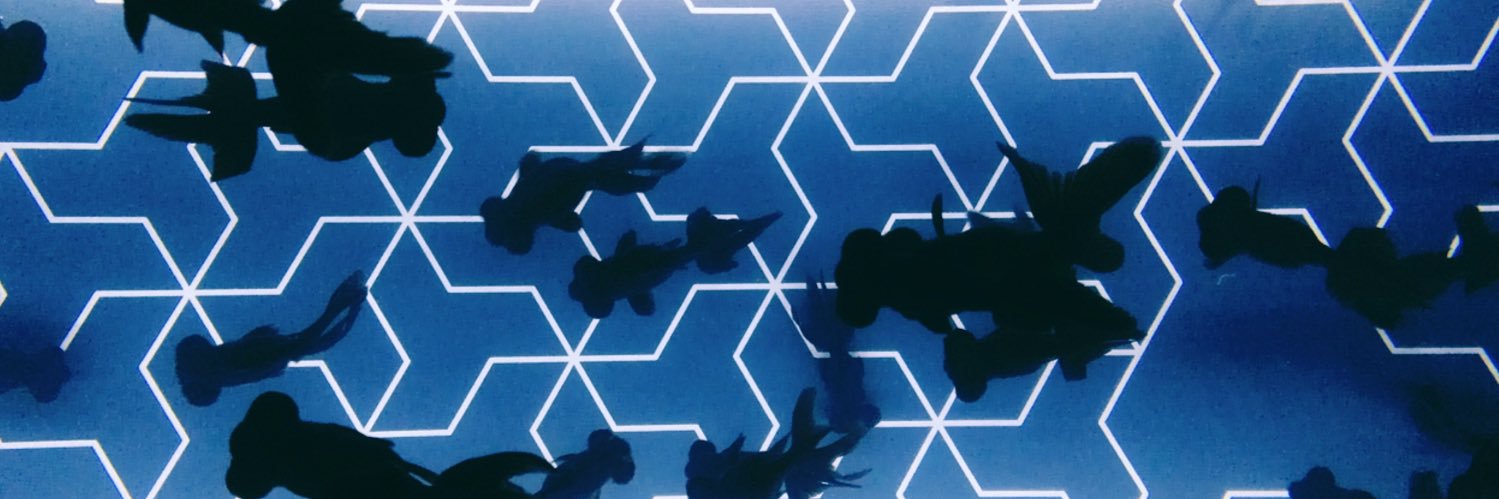 aik_awa's profile banner image