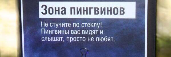 Alexandr Mitrofanov's banner
