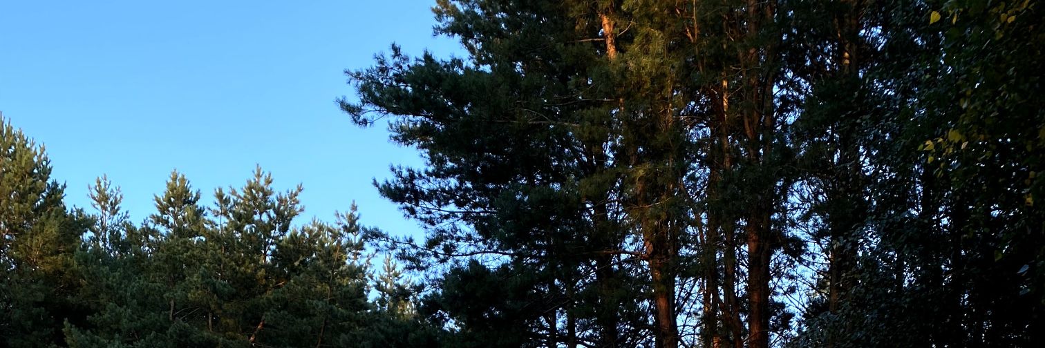 anutonisk's profile banner image