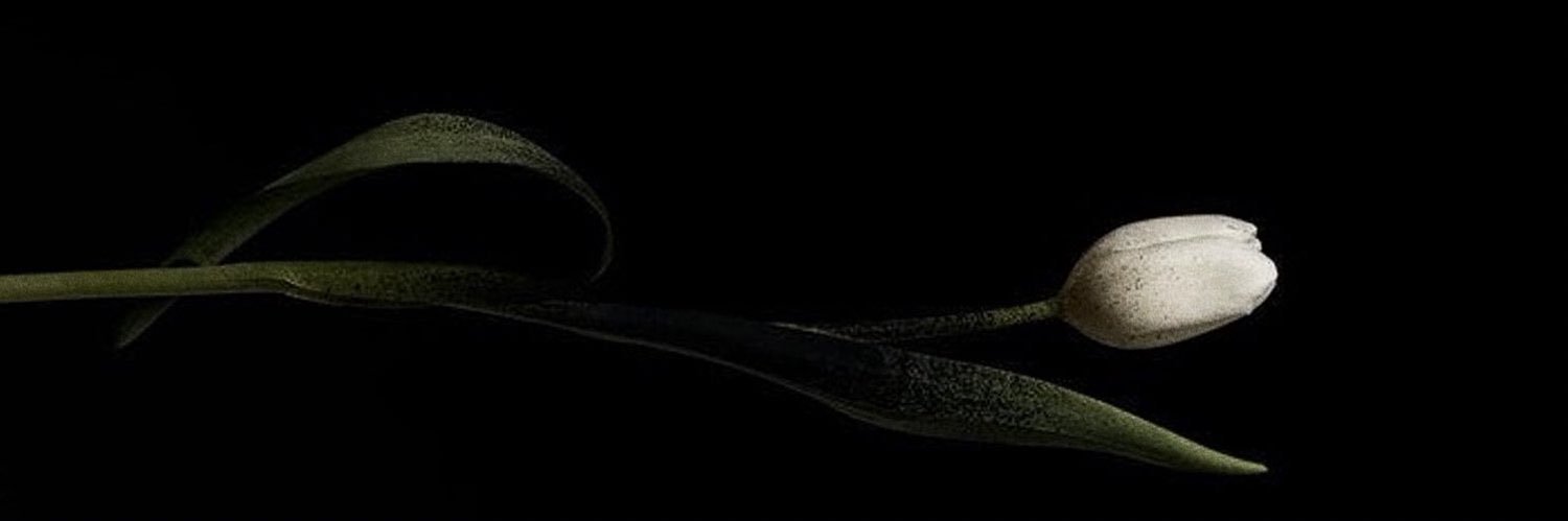 _SomeeOne1's profile banner image