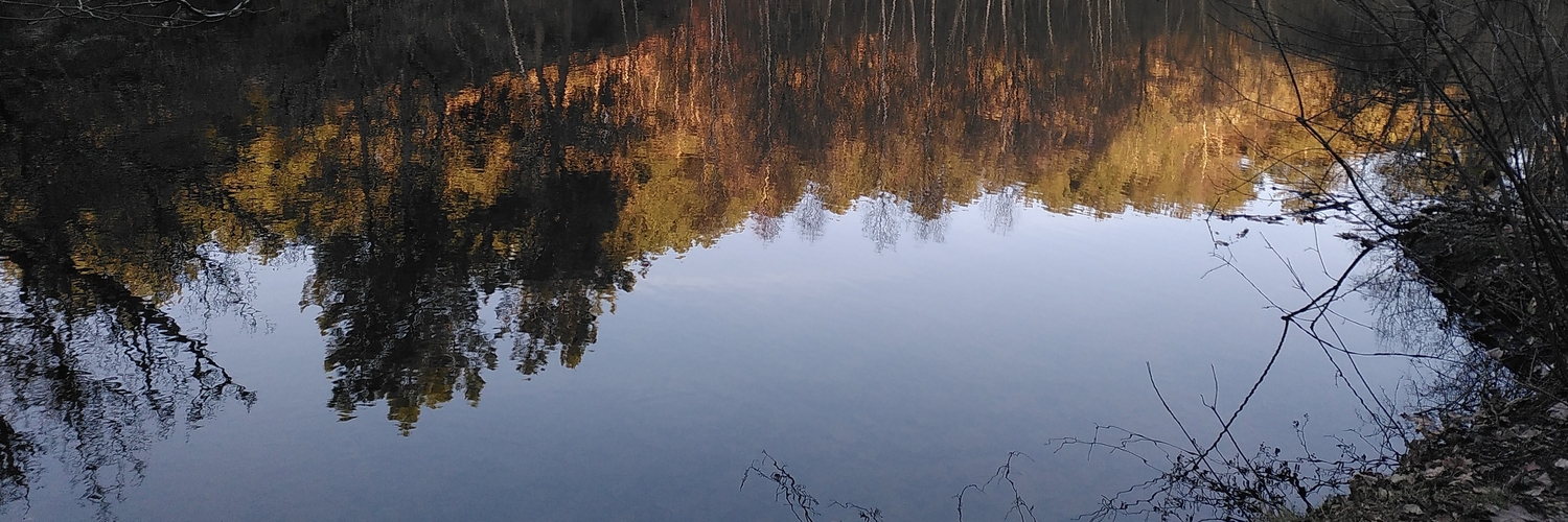 Morgane Glidic banner