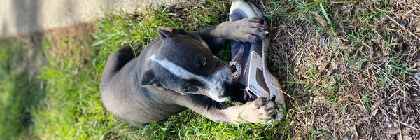 B_Rog2235 Profile Banner