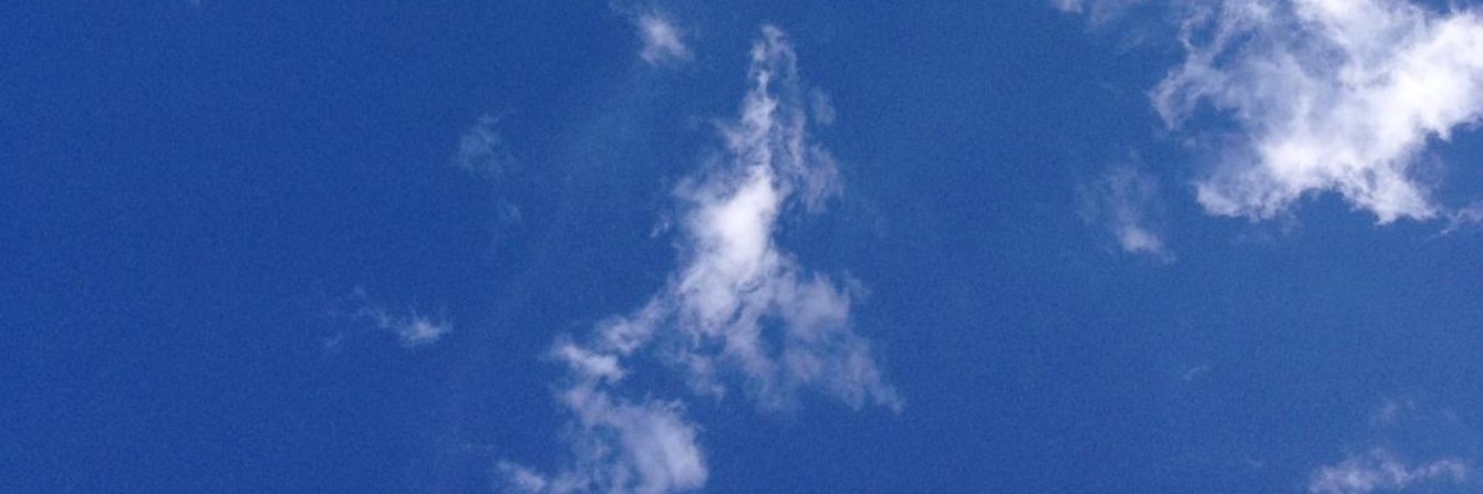 Anastasiya Lopukhina's banner