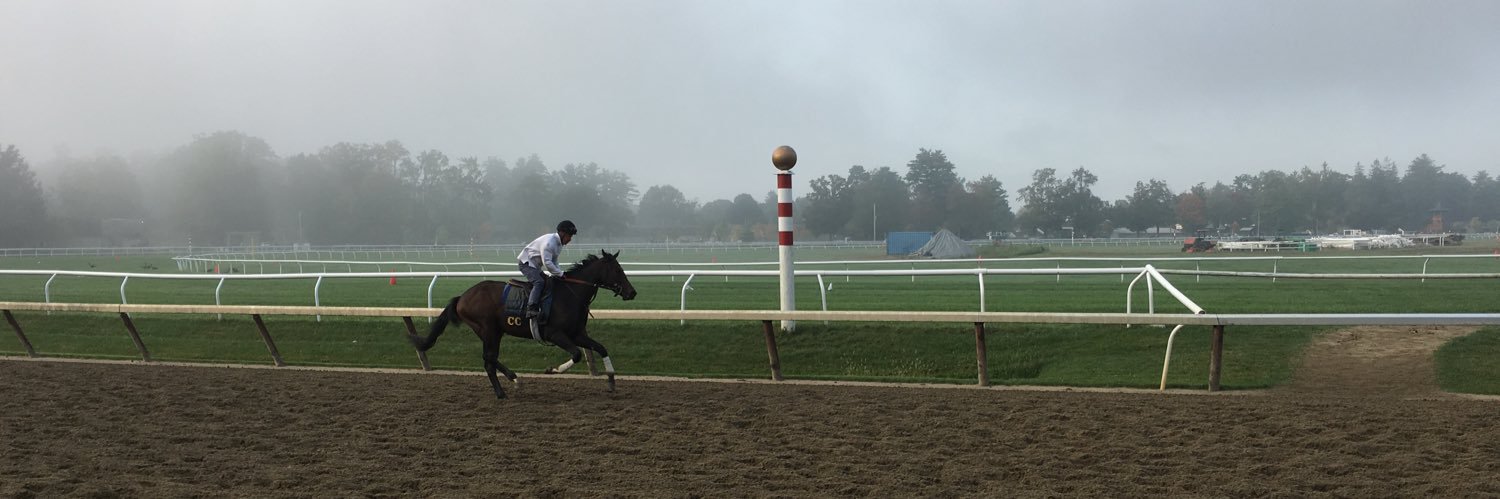 Donna Barillaro banner